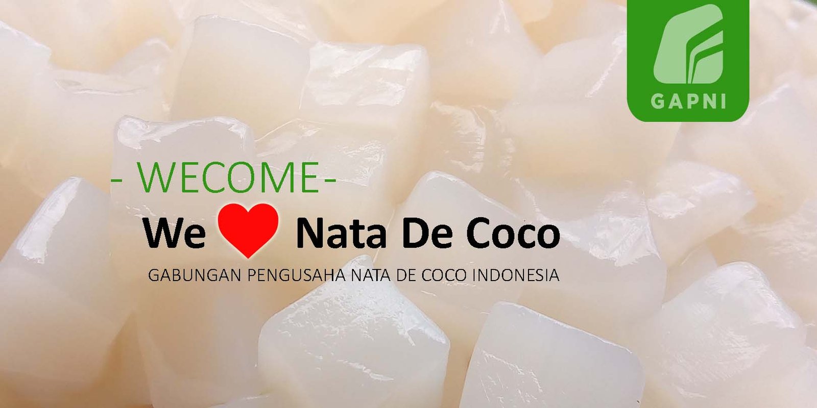WELCOME GABUNGAN PENGUSAHA NATA DE COCO